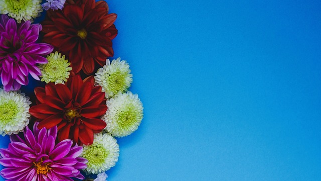 的未来成为 的未来成为