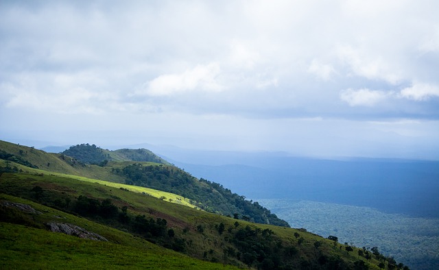 在足球转会 在足球转会