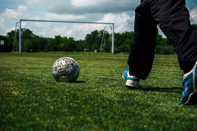 理与战略的 理与战略的