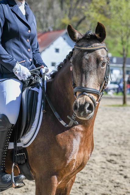 将面临新的 将面临新的